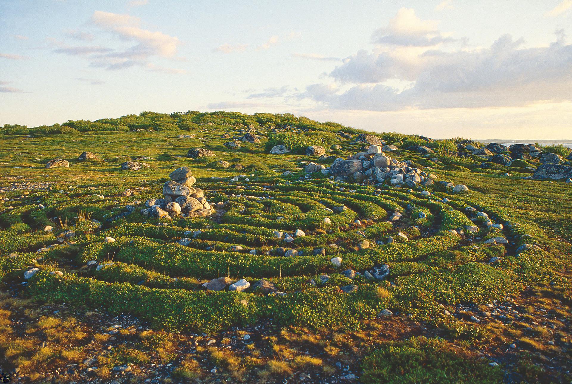 Лабиринты Заяцкого острова настоящая загадка Соловецкого архипелага