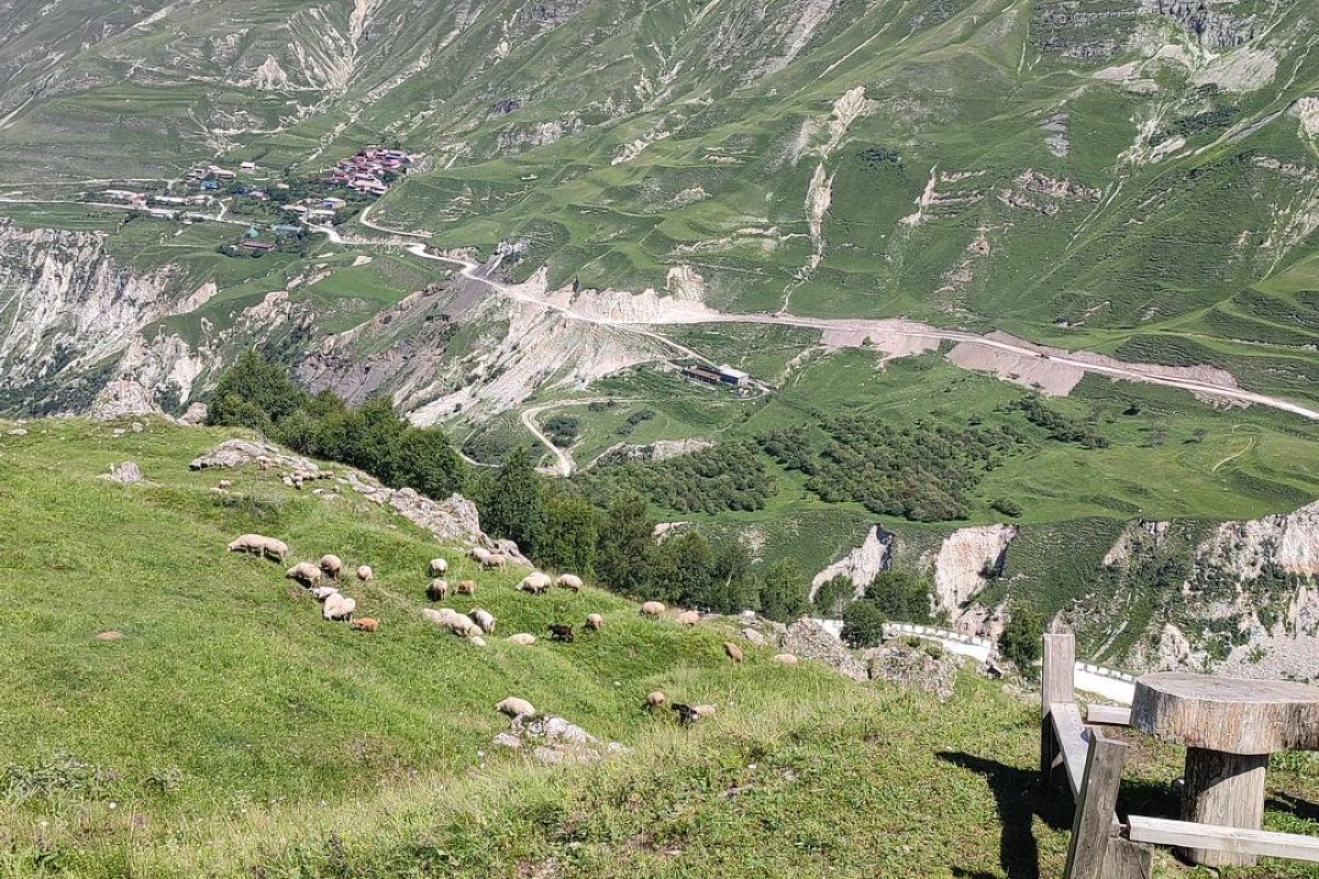 Кухня без границ в Дагестане