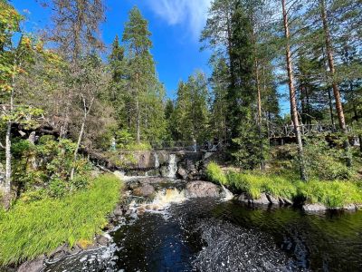 Экскурсионный тур из Петрозаводска "Знакомство с Карелией"