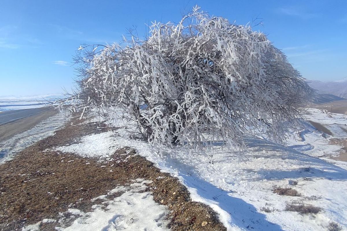 Кухня без границ в Дагестане