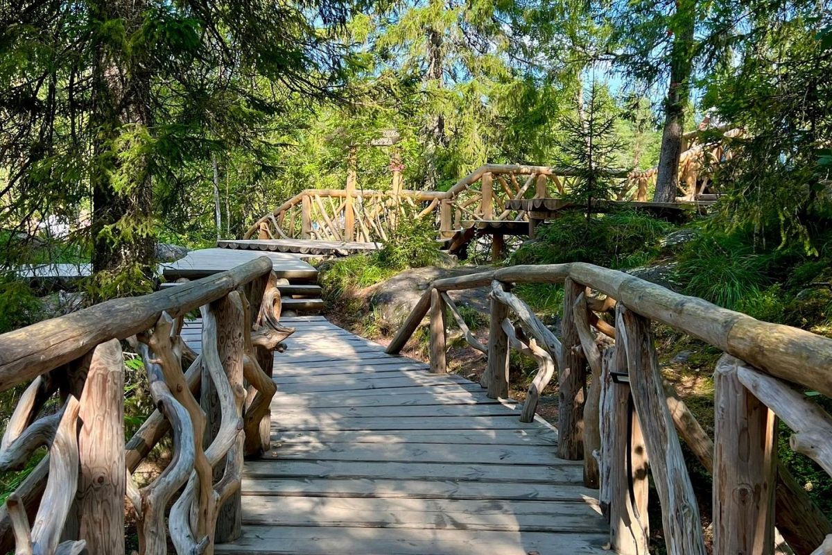 Экскурсионный тур из Петрозаводска "Знакомство с Карелией"
